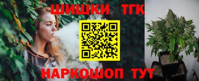 индика Заводоуковск