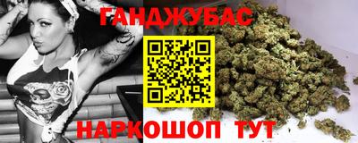 индика Заводоуковск