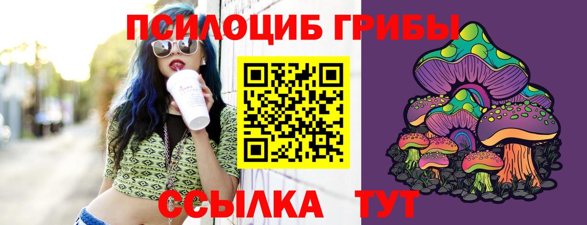 Галлюциногенные грибы Psilocybine cubensis  Вход с VPN  Иркутск 